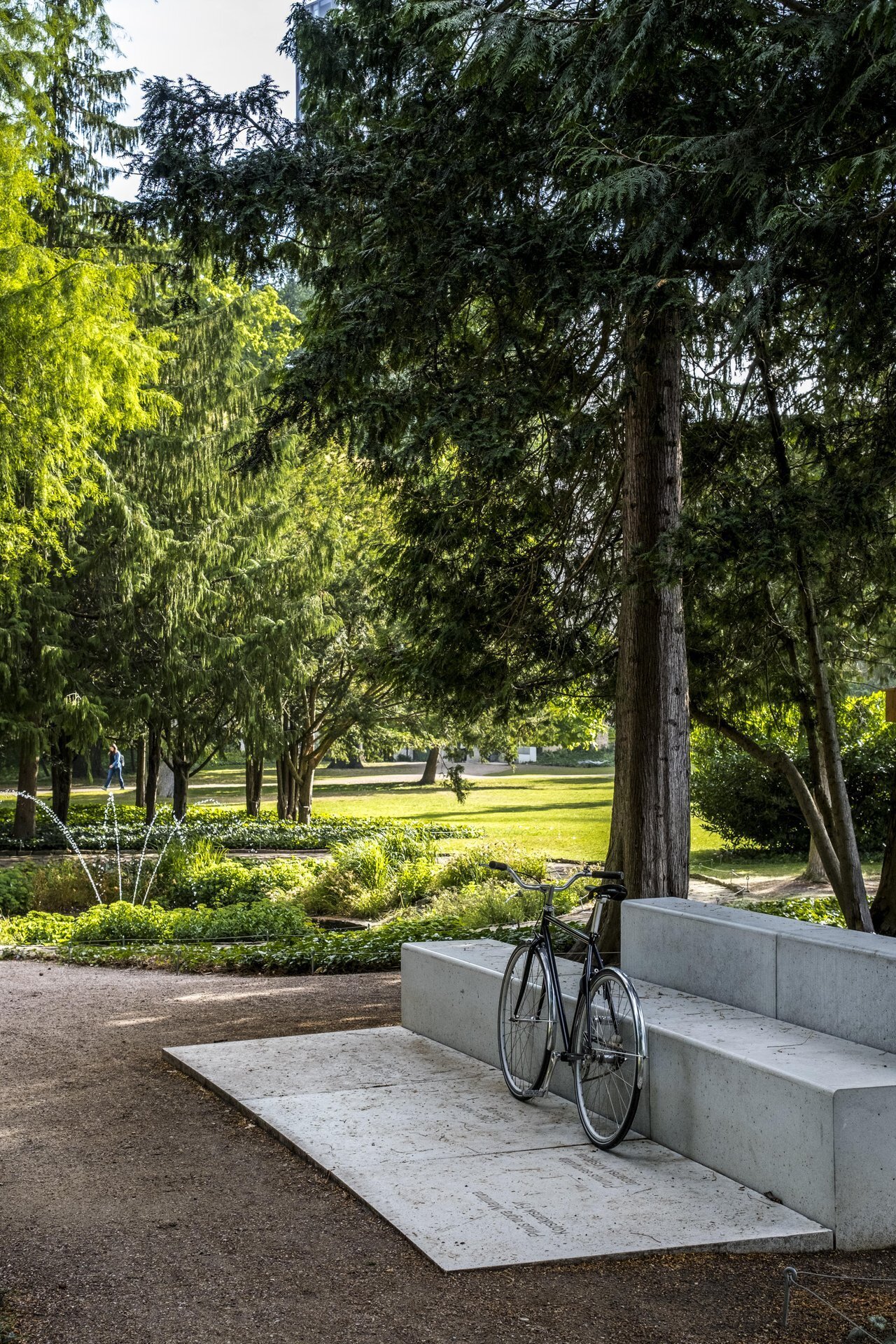Billede af en cykel i en park. 